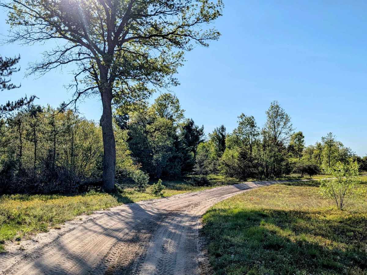 Maple Road trail photo