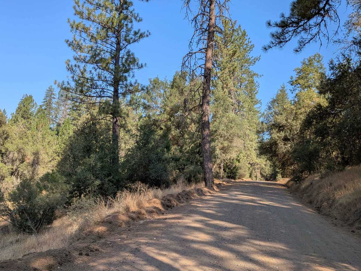 Bull Creek Road North photo 6