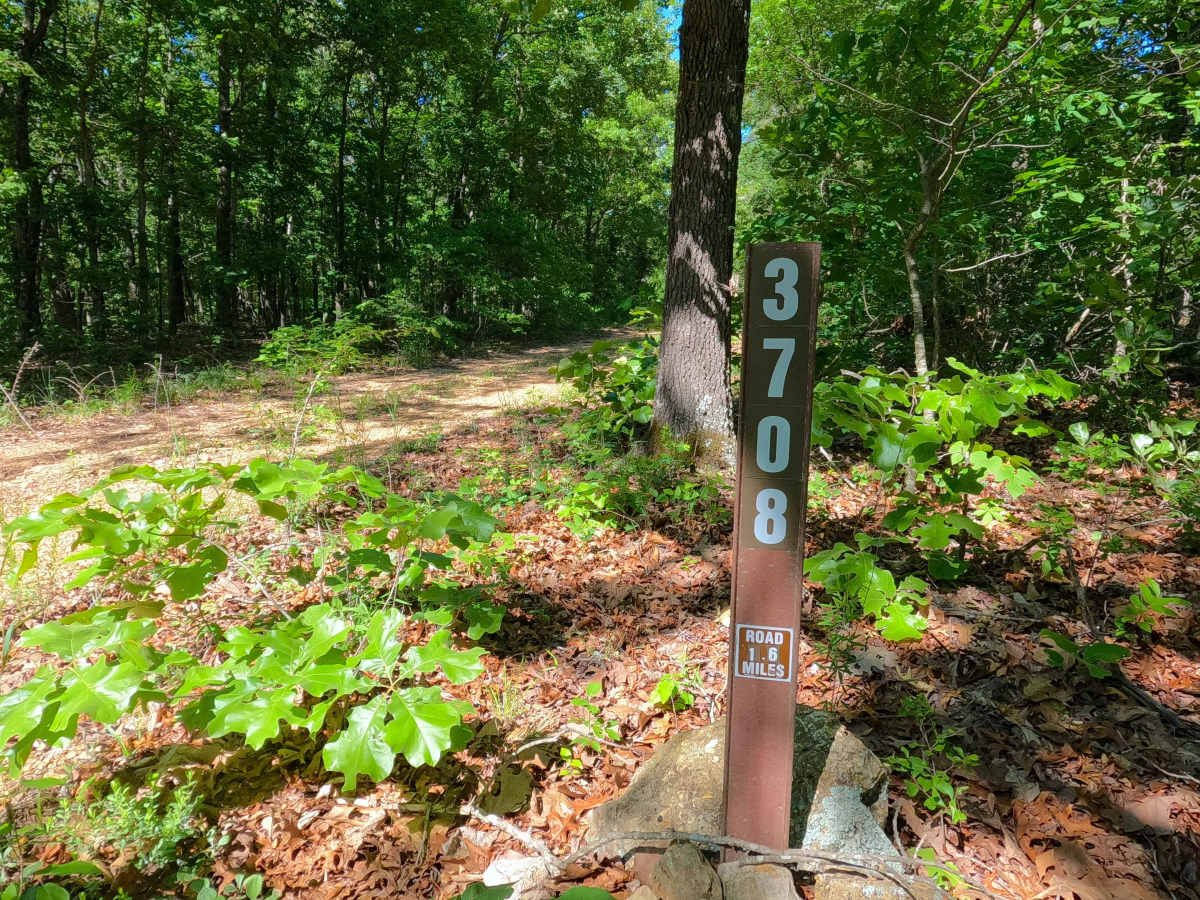 Pinhook - FS 3708 trail photo
