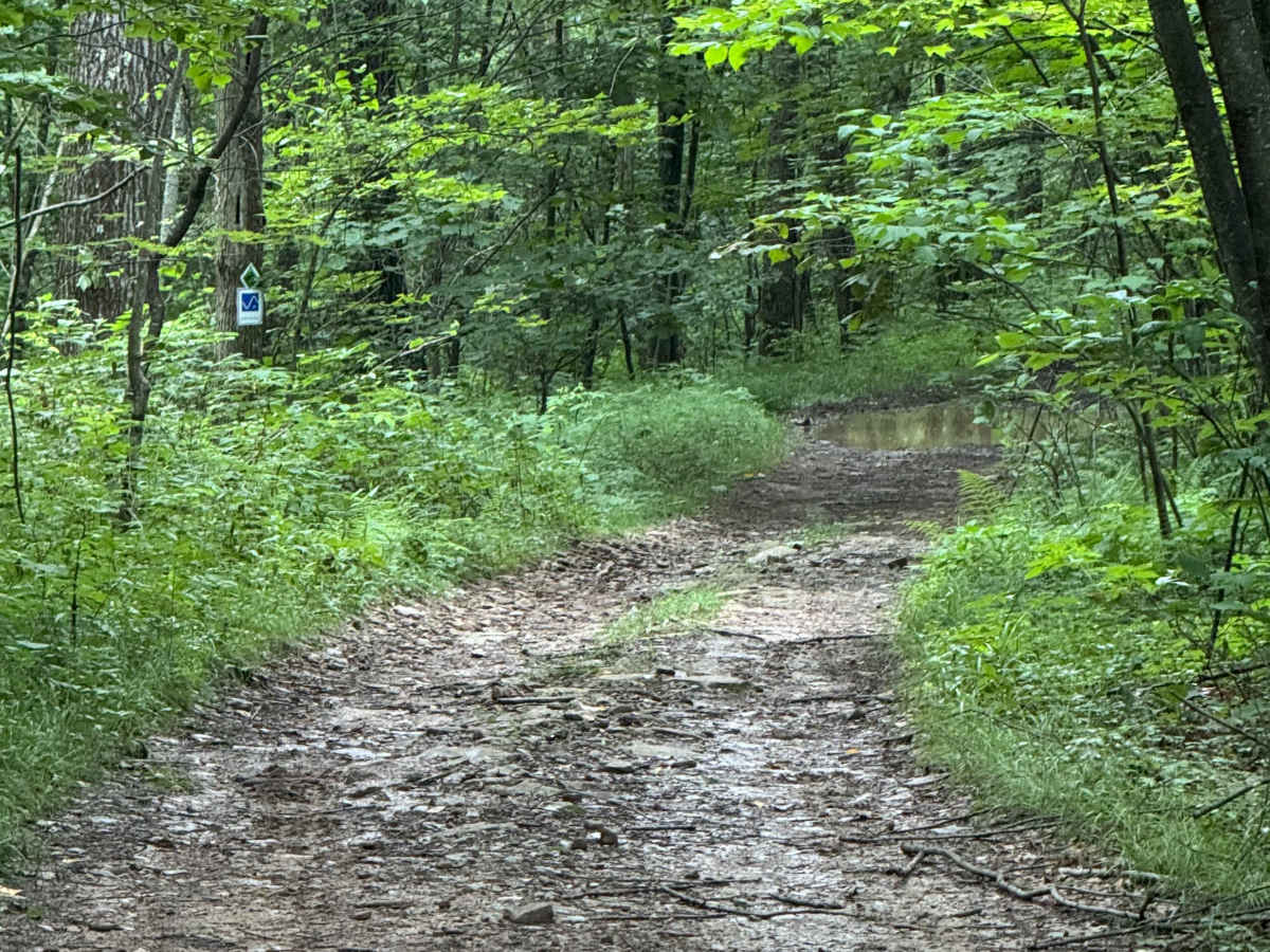 Trail 78 photo 5