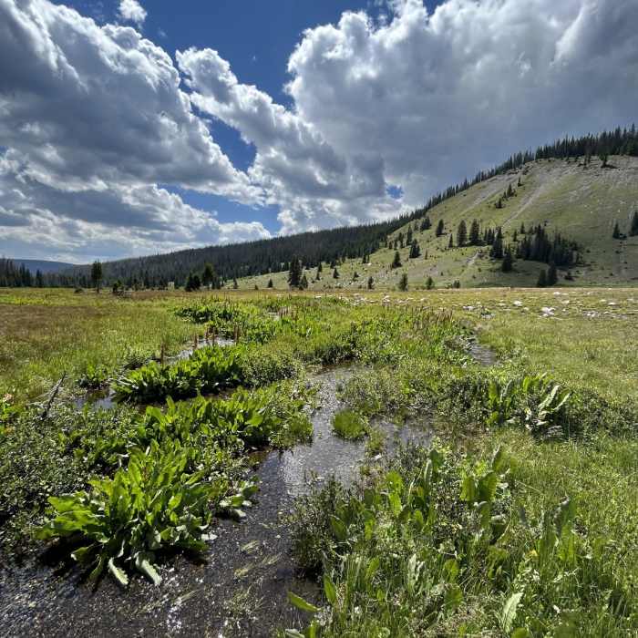 Near French Creek Trail