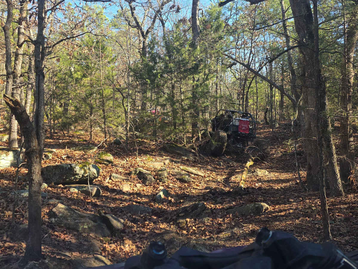 Coon Hunter photo 5