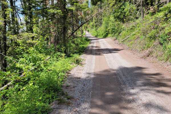 Jewel Basin Road