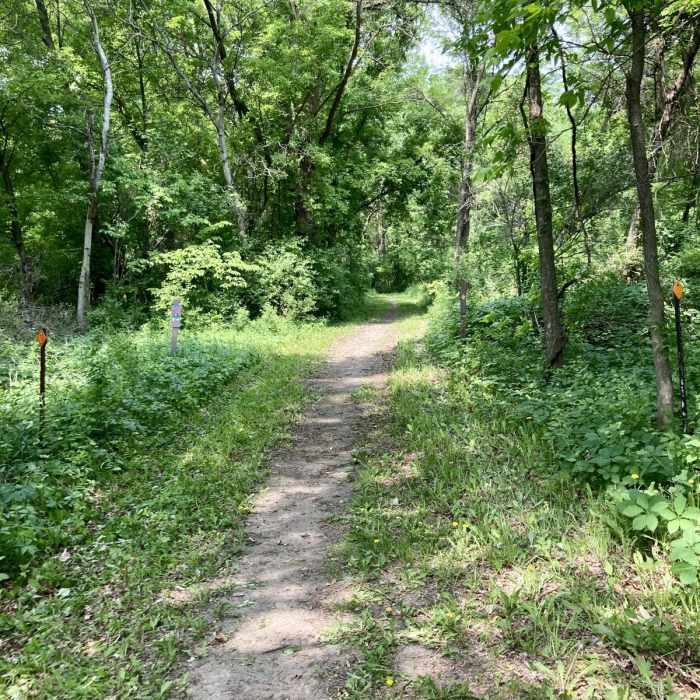 Near Hayden Lollipop Loop