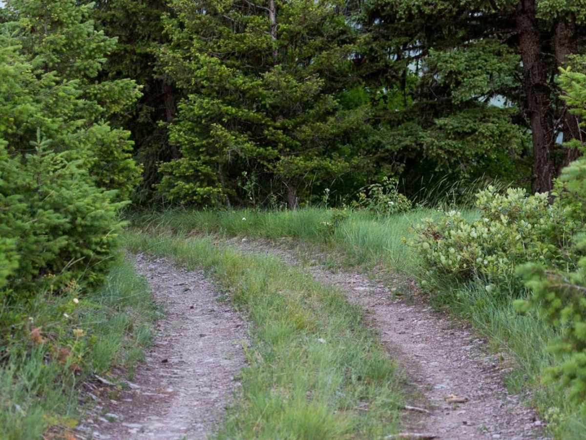 Wagon Mountain Road photo 4