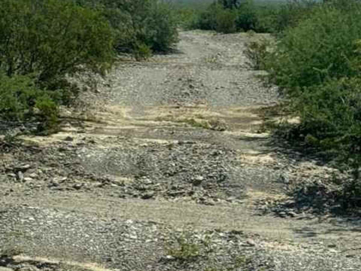 SS1149 photo 4