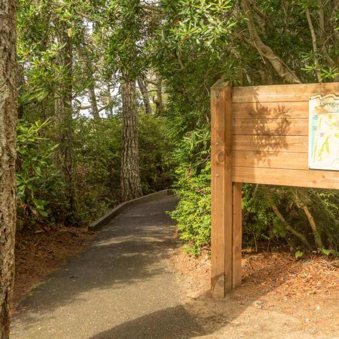 Near Oregon Dunes Loop Hike