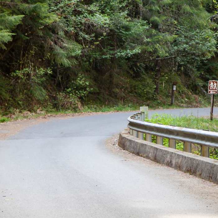 Near Brice Creek Trail, Champion Creek Trailhead to Lund Campground Hike