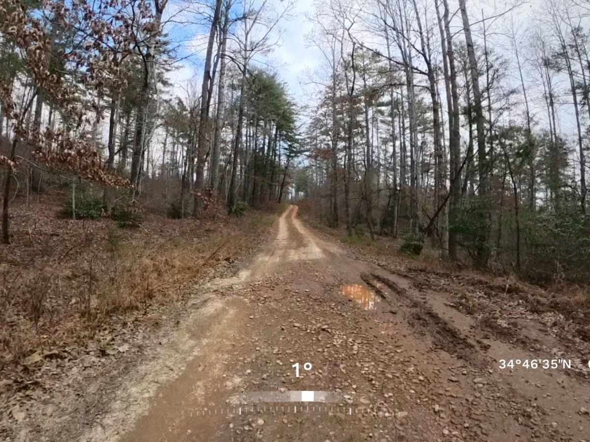 Water Gauge Road - FS 511 photo 4