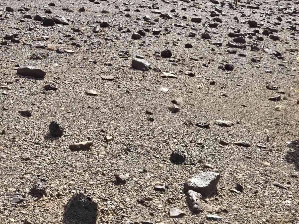I-10 Frontage Road (LP781) photo 5