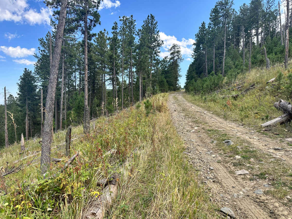 Cicero Peak Road photo 5
