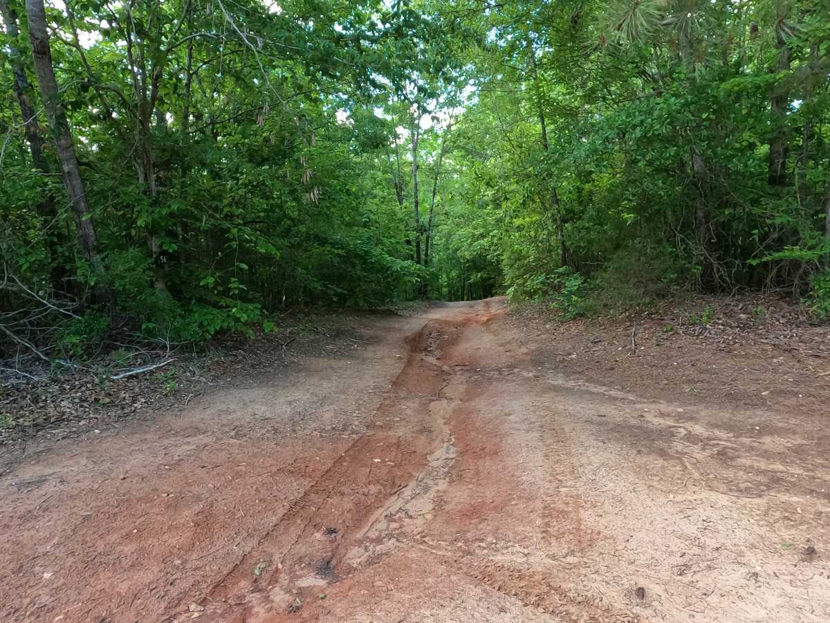 Trail 56 photo 3