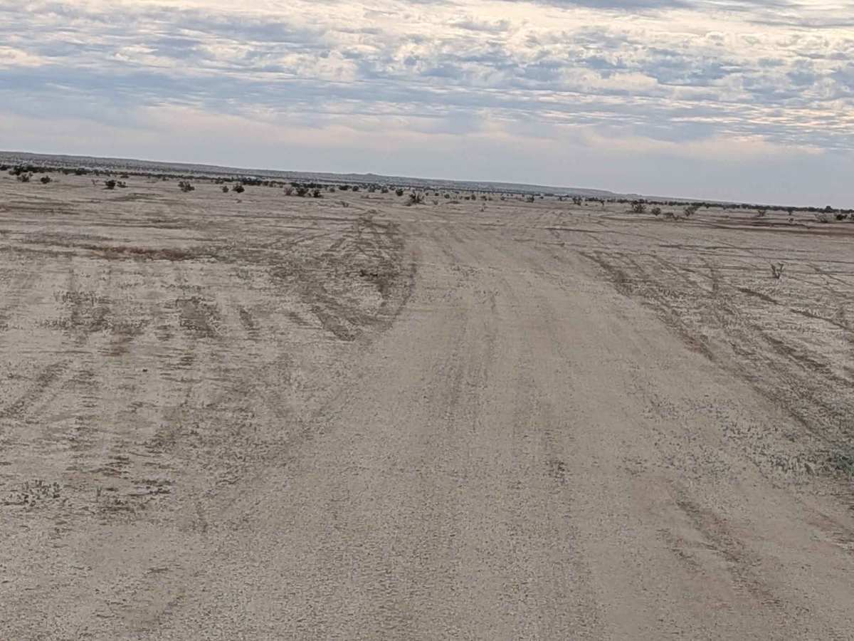 BLM 009 photo 3