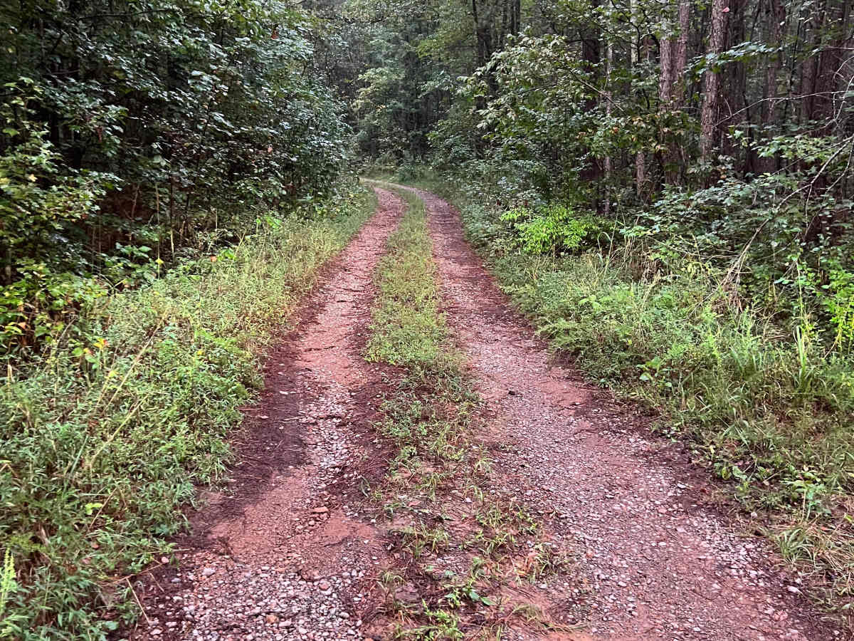 Turkey Creek - FS 212B photo 4