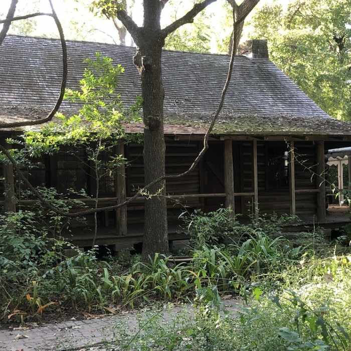 Near Creekside Trail