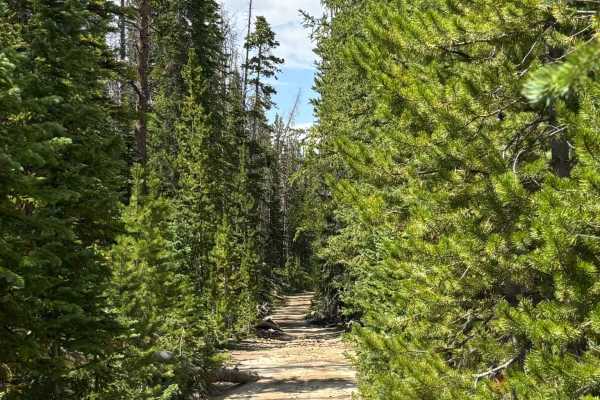 Hot Sulphur Spur Road