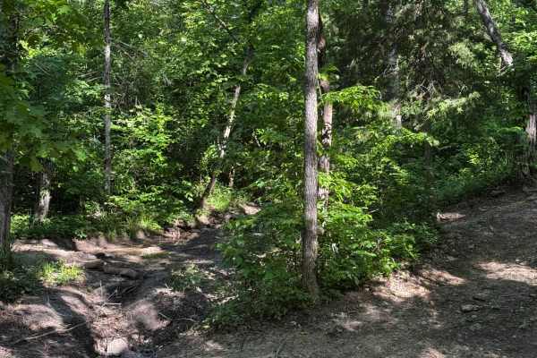 Inner Track 9