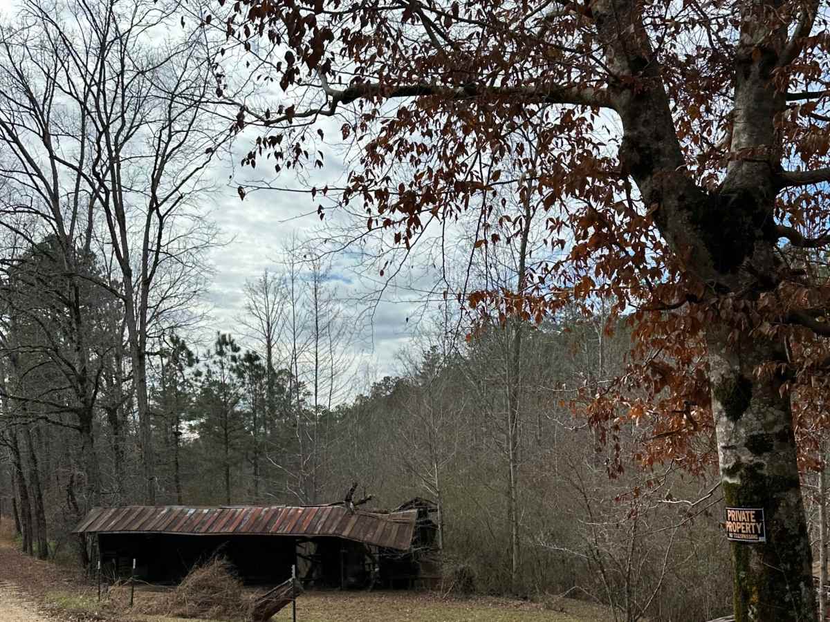 County Road 223 photo 4