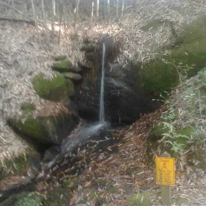 A small trailside waterfall. Near De Hart Botanical Gardens