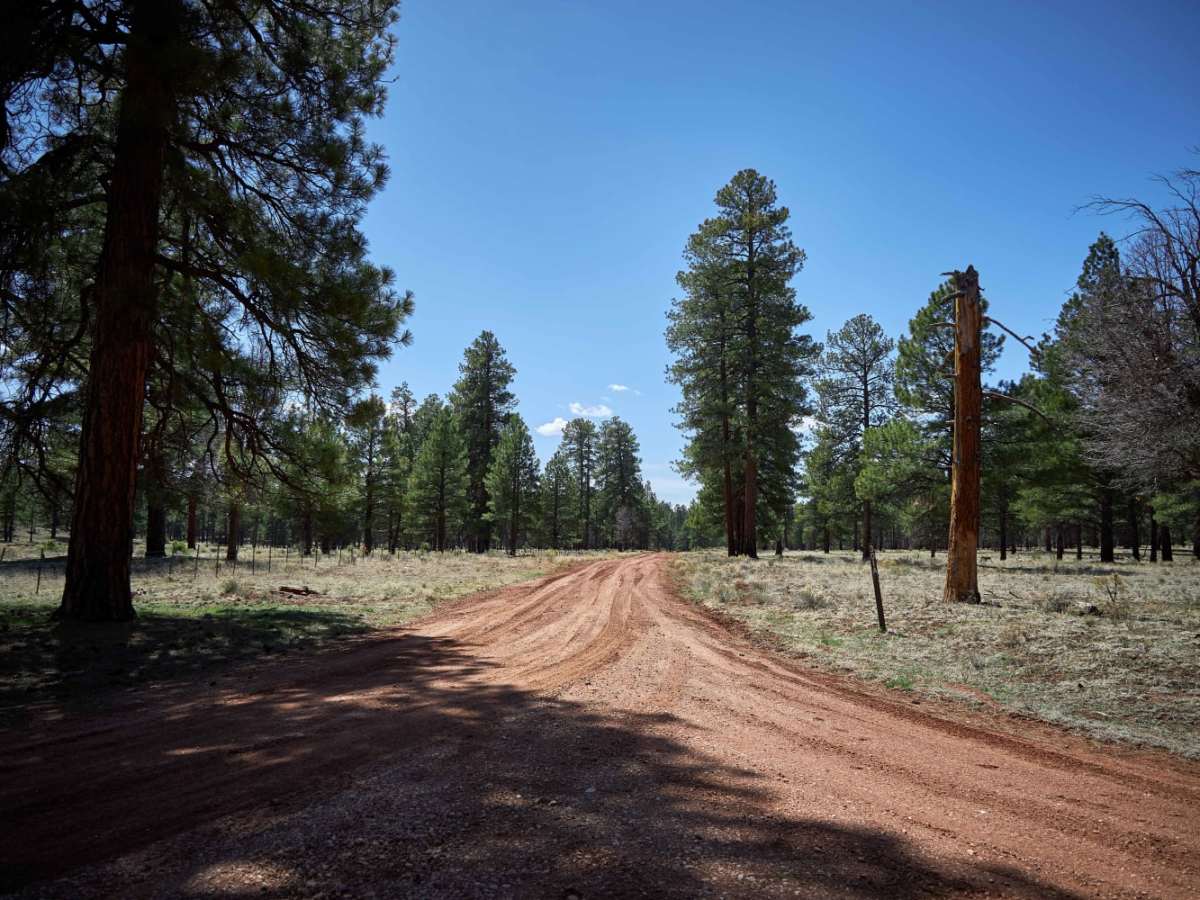 Old 301 Road photo 6