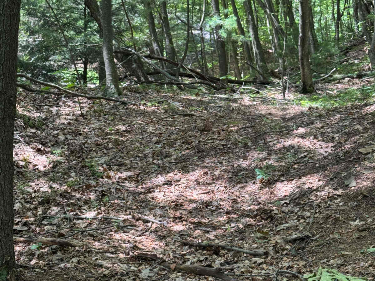 Trail 42 photo 6