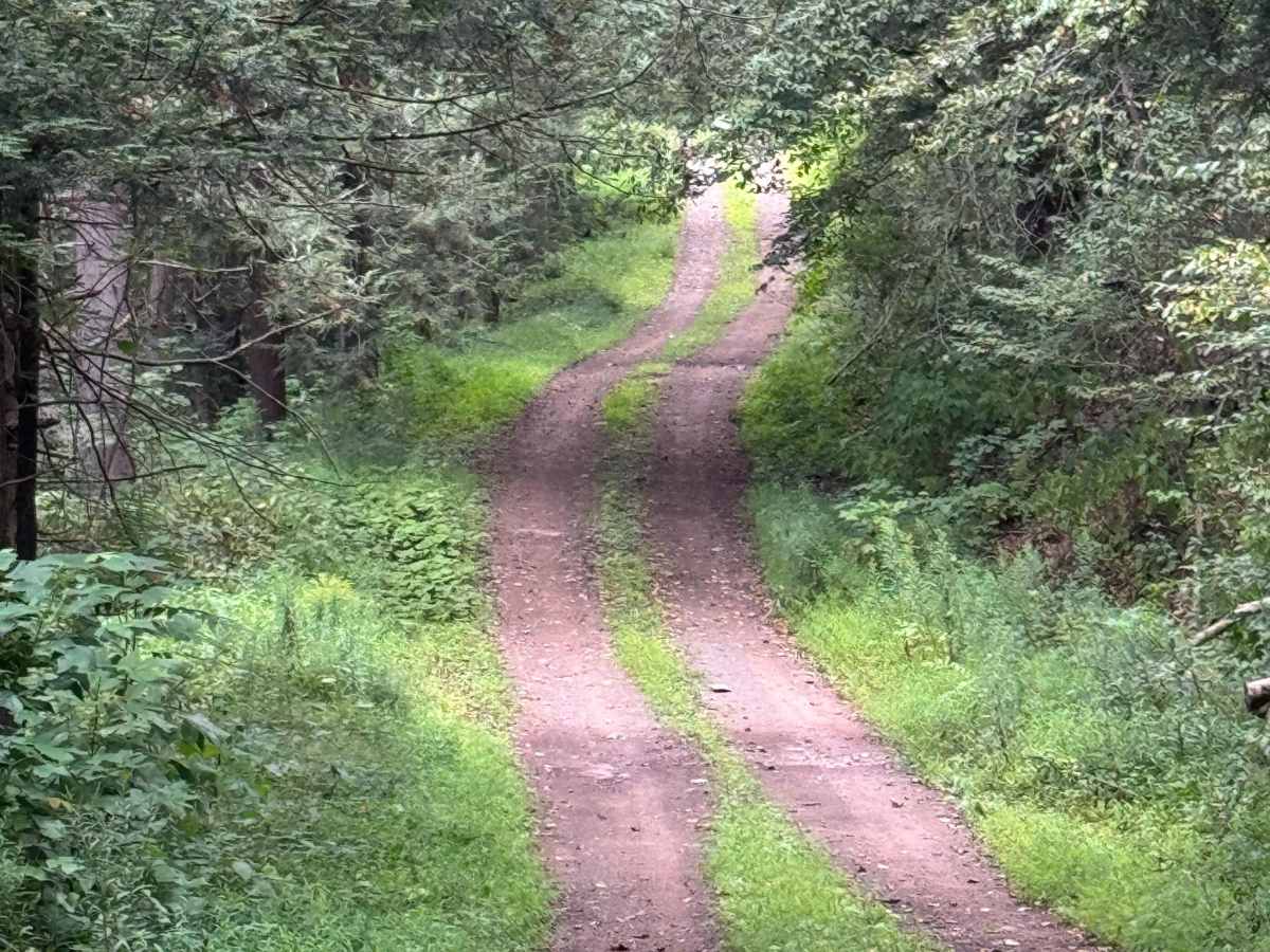 Four Mile Road trail photo