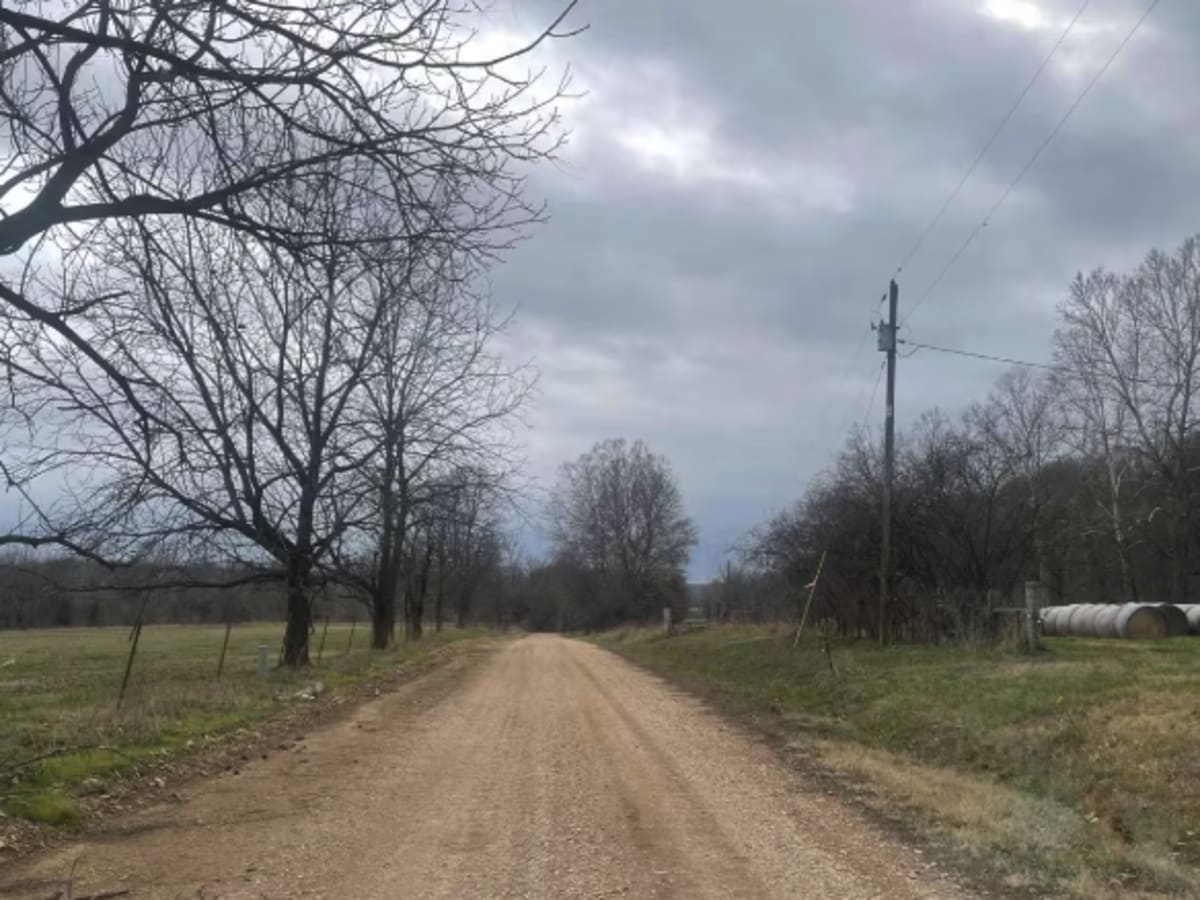 Country Road Nec35A photo 3