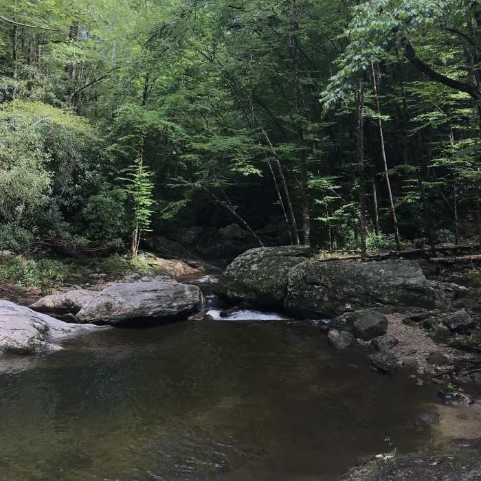 Bard Falls Down River Near Wet'n'Wild Harper Creek Loop