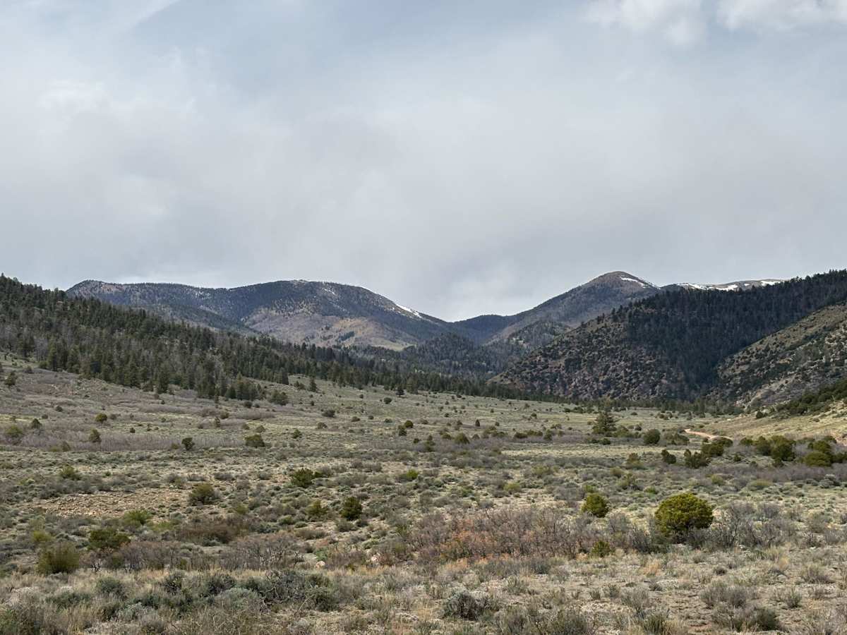 Kelly Creek Cutoff photo 6