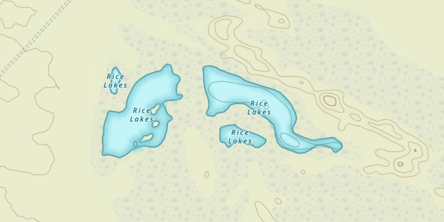Rice Lakes