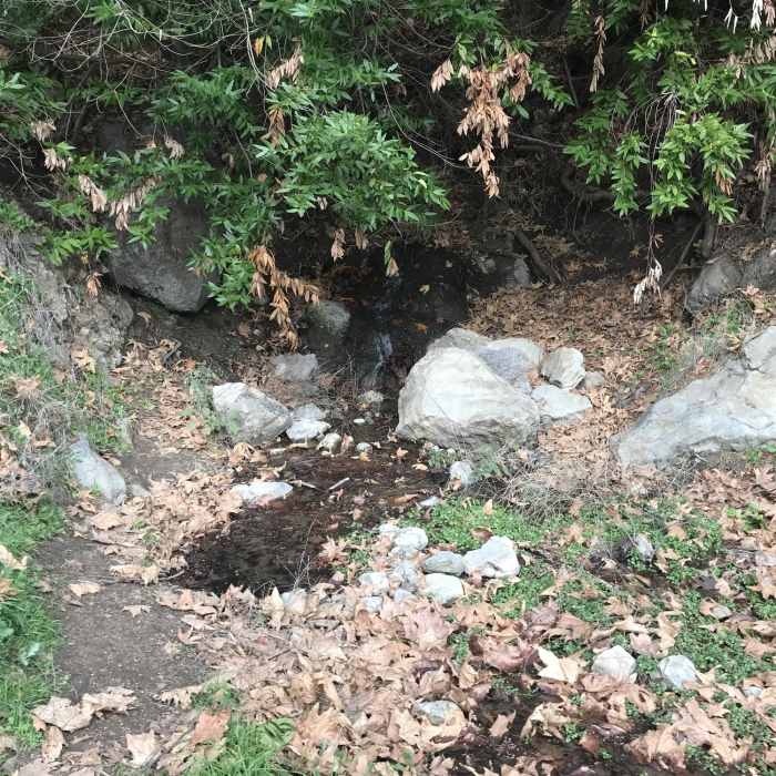 Near Monument Peak Loop via BART