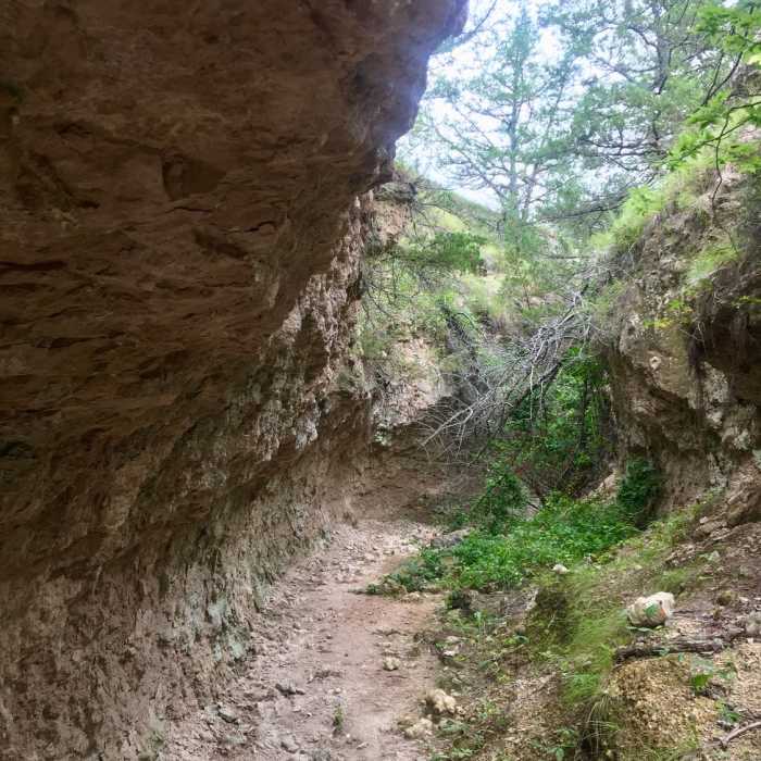 Near Butterfly Canyon