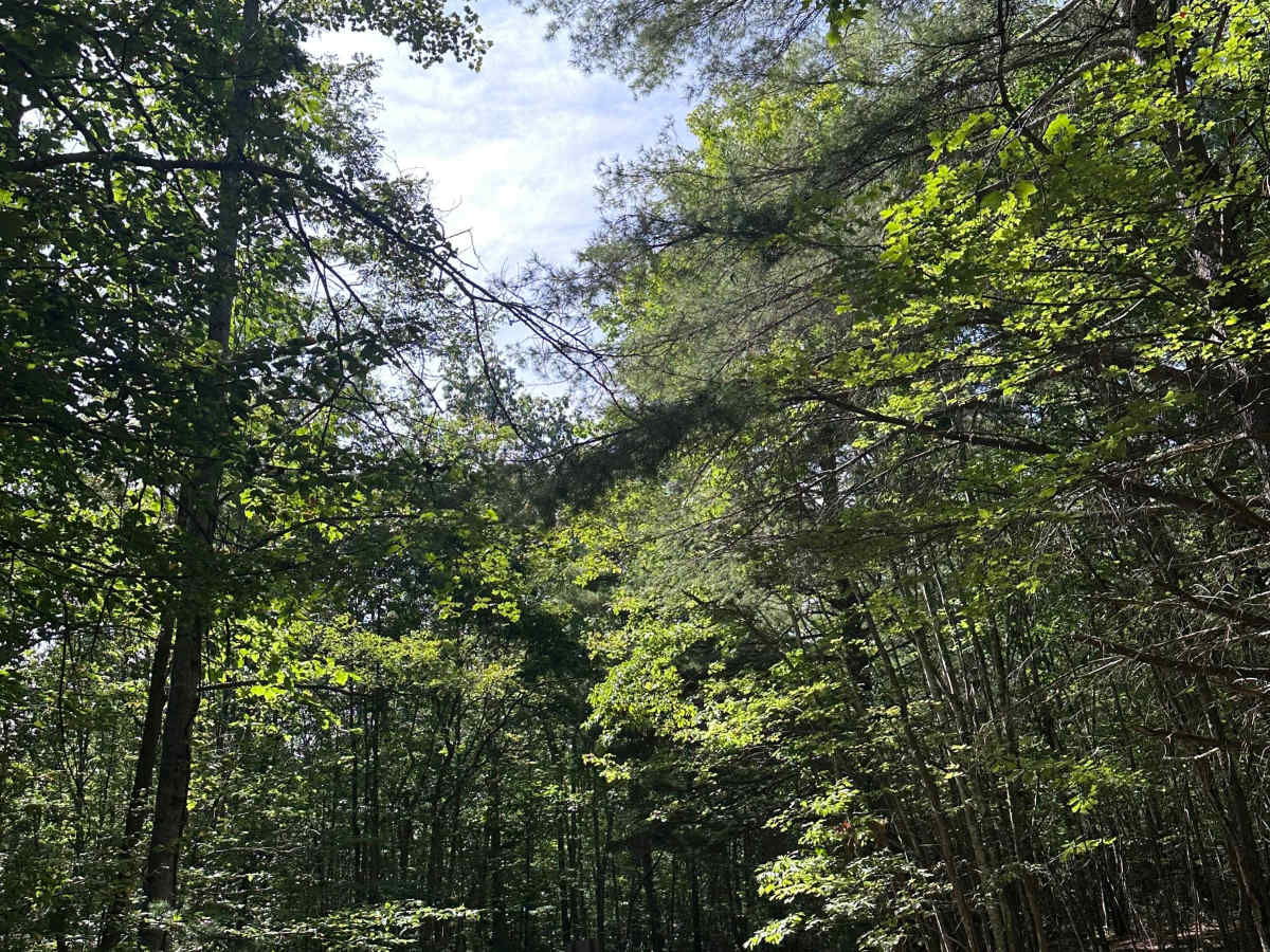 Range Road photo 5