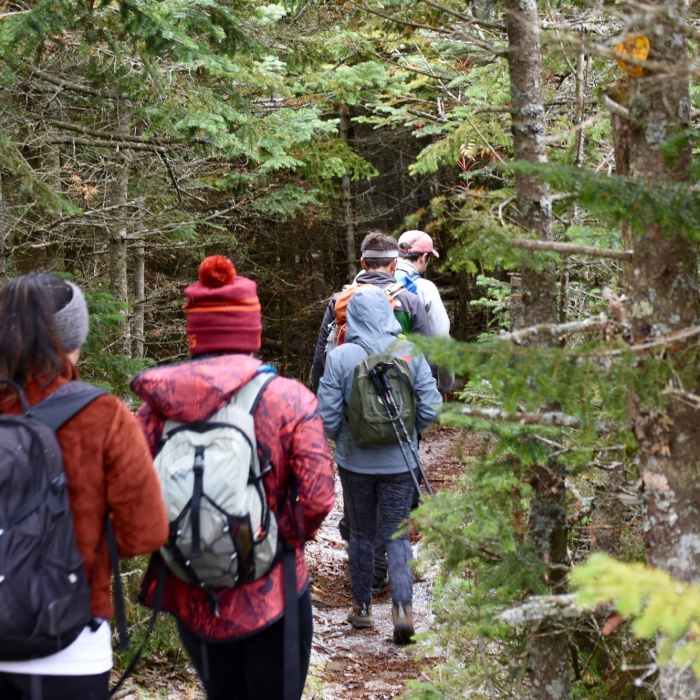 Near Blackhead Mountain Trail
