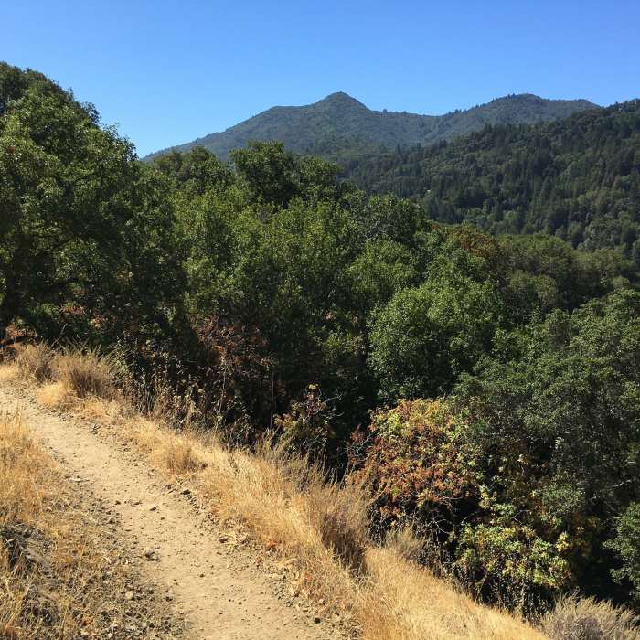 Near Phoenix Lake Loop