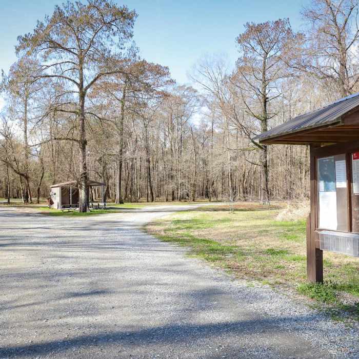 Near Indian Bayou Loop Near Indian Bayou Loop