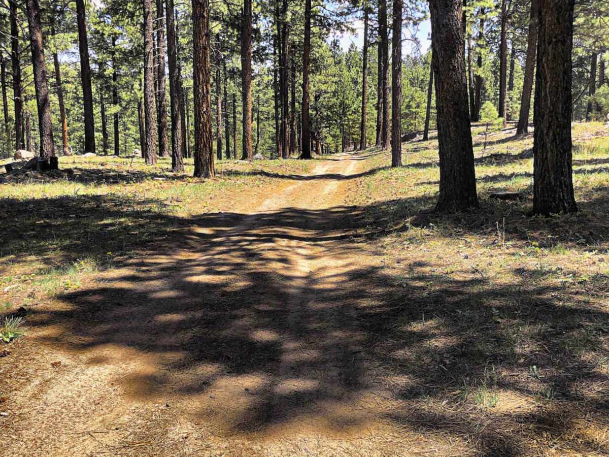 Dude Ranch to Stone Henge trail photo
