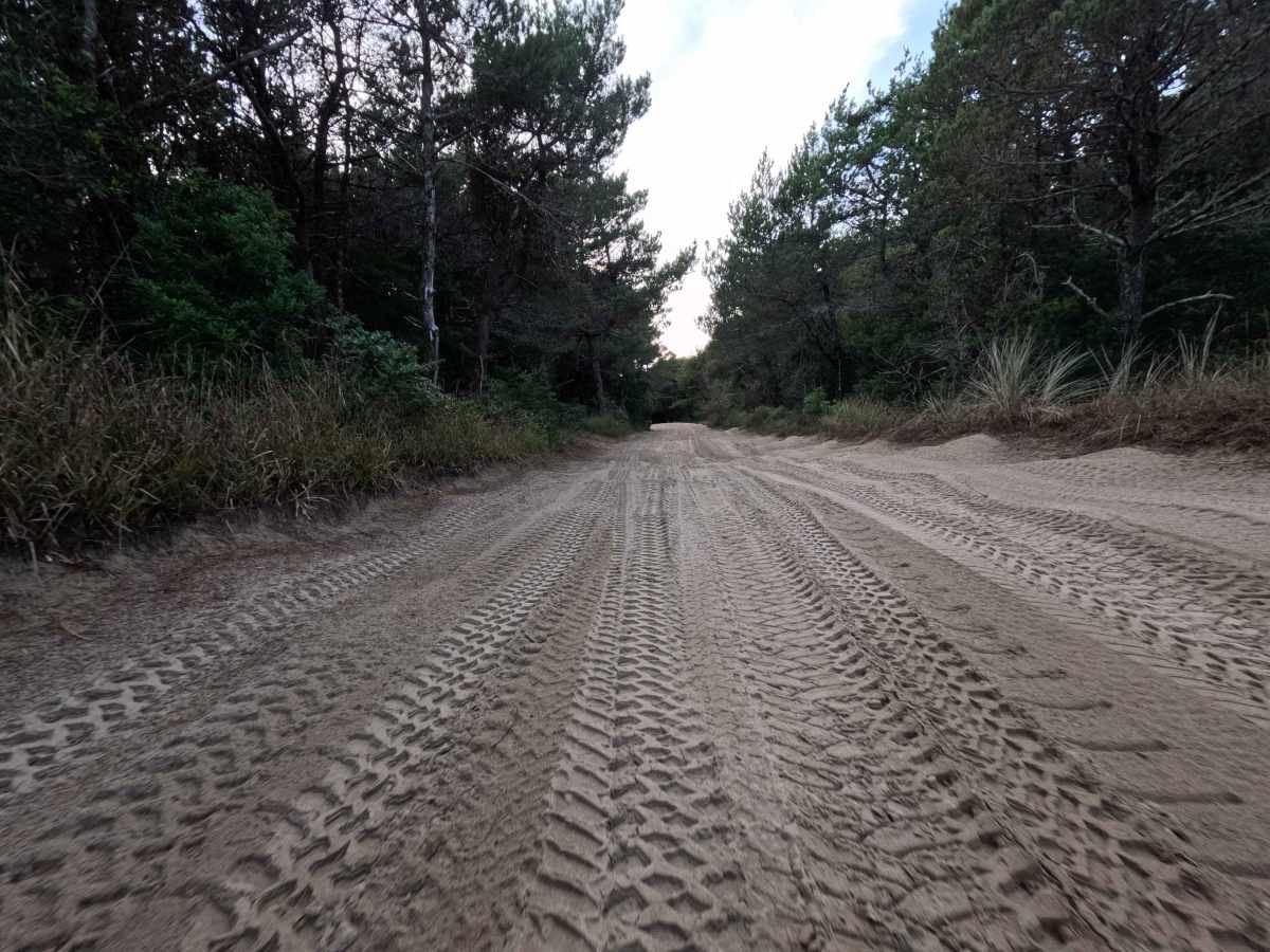 Coast Guard OHV South Trail - 1343 trail photo