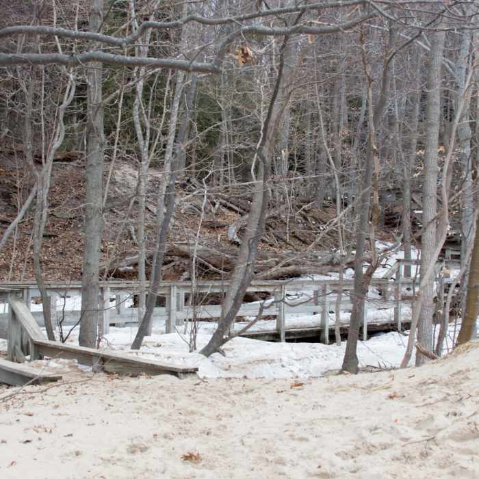 Frozen Beach-7 Near Homestead Loop