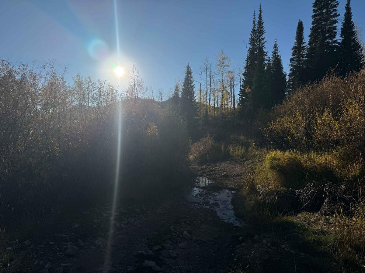 Middle Deep Creek Road photo 5