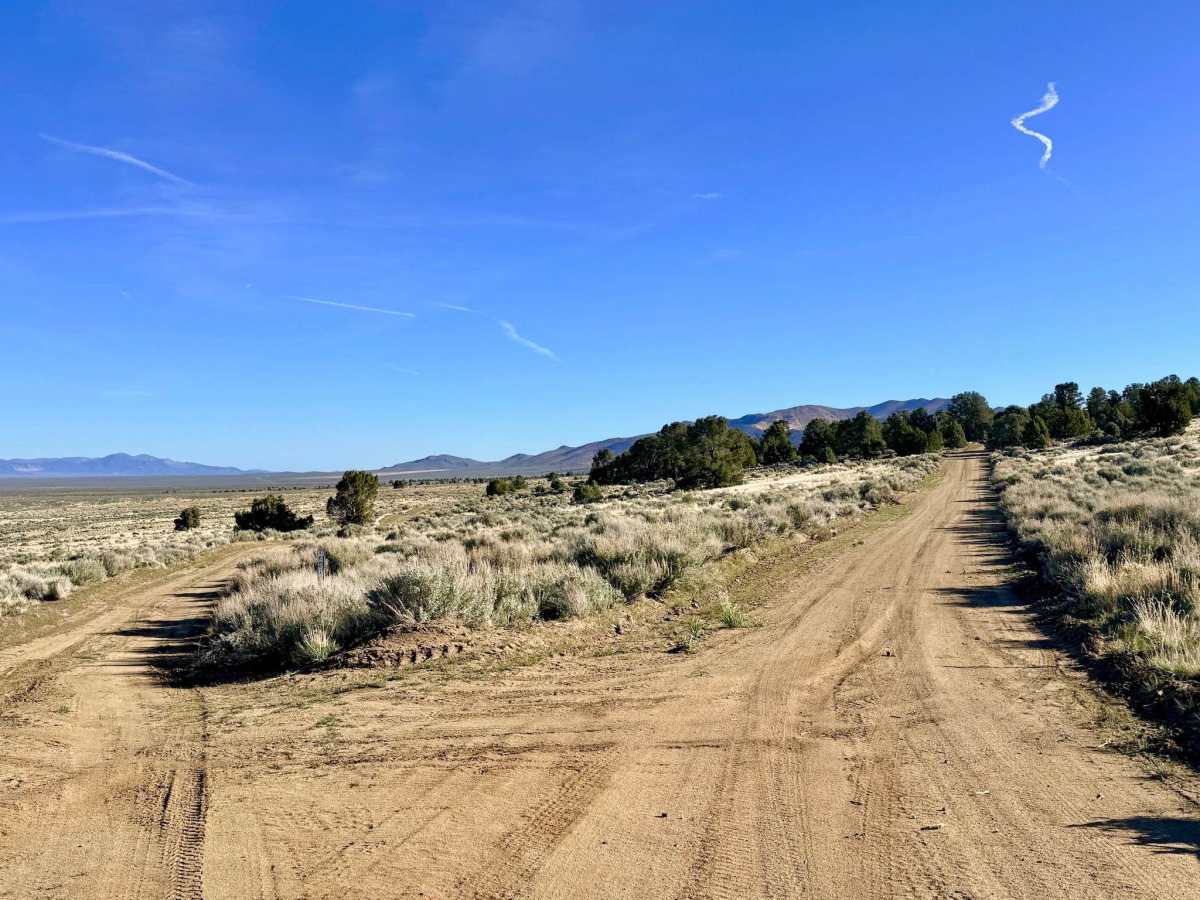 Crow Canyon - FS 43242 photo 4