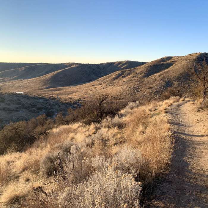 Near Seaman Gulch Loop