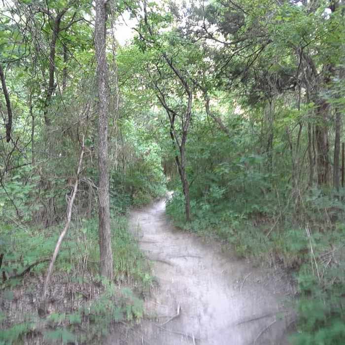 Near Cedar Ridge Loop