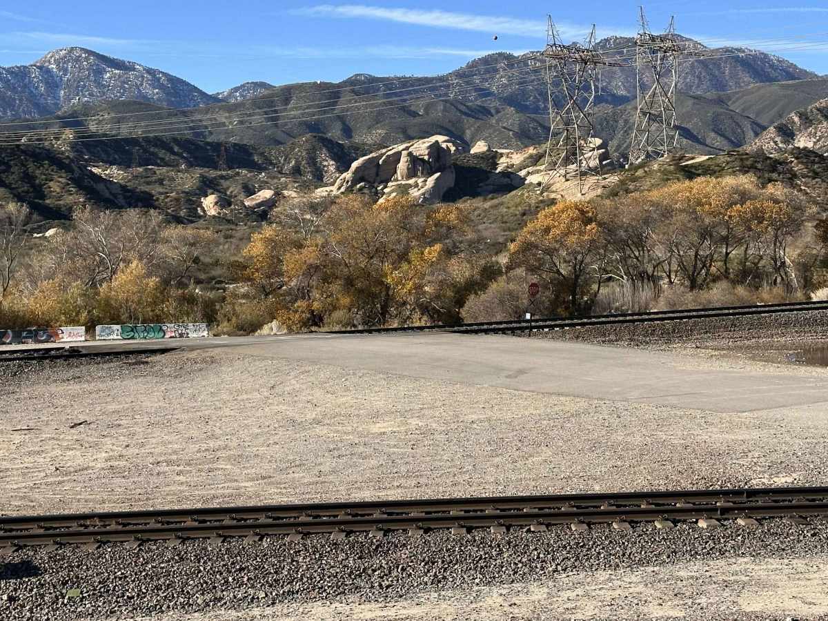 Cleghorn Tracks photo 3