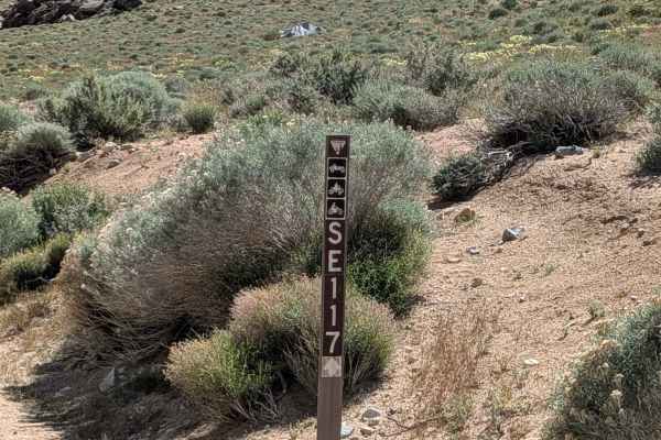 BLM 116