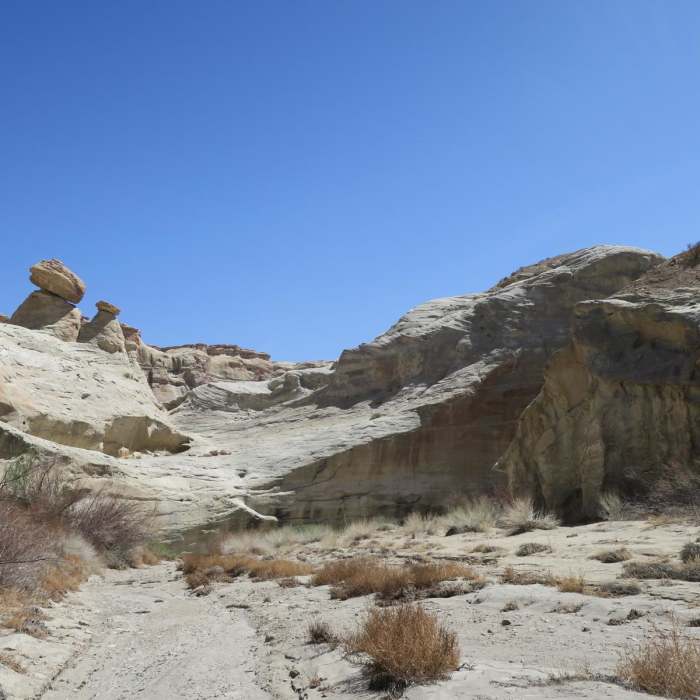 Near Wiregrass Canyon