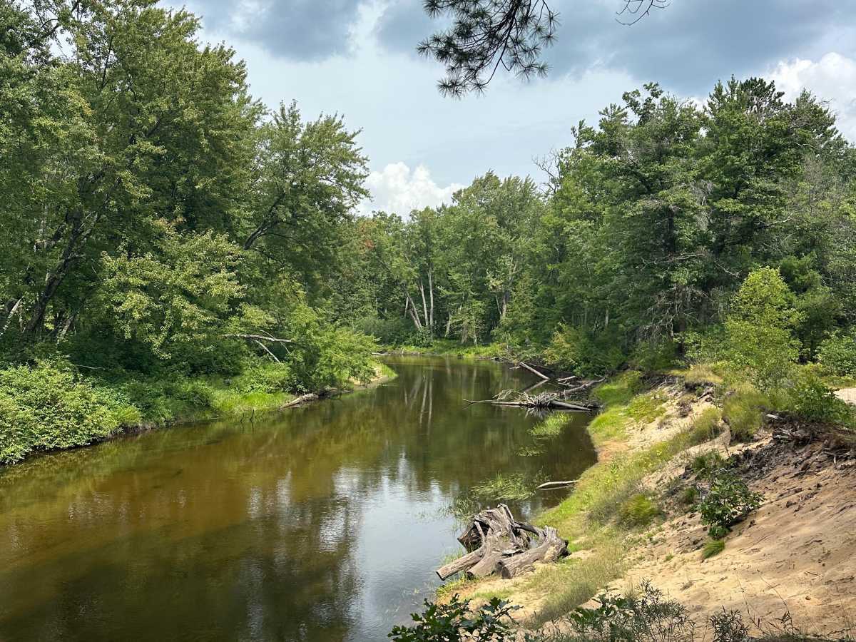 Pond Loop photo 6