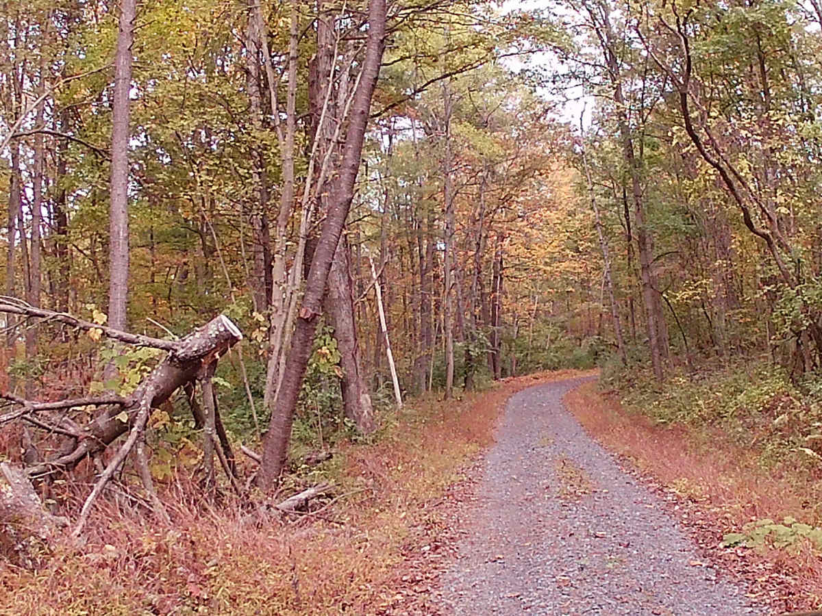 Lamb Gap Trail photo 3