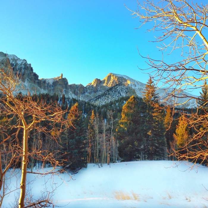 Near Lehman Creek Trail