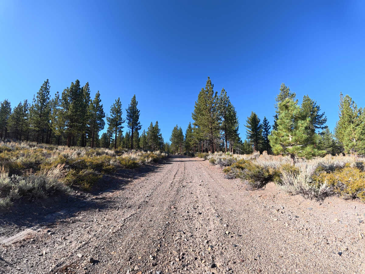Logging Camp Road photo 6